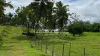 Foto 63 de Fazenda/Sítio com 3 Quartos à venda, 260000m² em Zona Rural, Marechal Deodoro