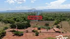 Foto 18 de Fazenda/Sítio à venda em Zona Rural, Flores de Goiás