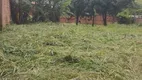 Foto 2 de Lote/Terreno à venda, 1200m² em Itapavussu, Cosmópolis