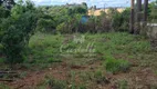 Foto 7 de Fazenda/Sítio com 2 Quartos à venda, 40m² em Guaragi, Ponta Grossa