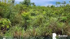 Foto 8 de Fazenda/Sítio à venda em Zona Rural, Pium