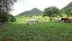 Foto 24 de Fazenda/Sítio com 4 Quartos à venda, 183000m² em Zona Rural, Rio Bonito