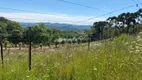 Foto 17 de Lote/Terreno à venda, 120000m² em Vale dos Vinhedos, Bento Gonçalves