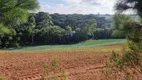 Foto 31 de Fazenda/Sítio com 1 Quarto à venda, 72600m² em Tindiquera, Araucária