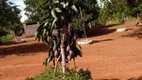 Foto 2 de Fazenda/Sítio à venda em Centro, Buritis