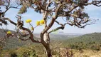 Foto 54 de Fazenda/Sítio com 7 Quartos à venda, 2000m² em Zona Rural, Aragoiânia