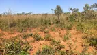 Foto 5 de Fazenda/Sítio à venda em Sobradinho, Brasília