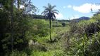 Foto 16 de Fazenda/Sítio à venda, 20000m² em Zona Rural, Caeté