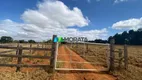 Foto 24 de Fazenda/Sítio com 1 Quarto à venda, 63m² em Zona Rural, Paraopeba