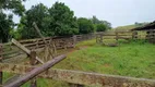 Foto 9 de Fazenda/Sítio com 4 Quartos à venda, 105000m² em , São Pedro do Sul