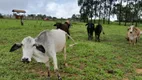 Foto 52 de Fazenda/Sítio com 4 Quartos à venda, 280000m² em Area Rural de Brazlandia, Brasília