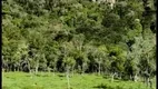 Foto 3 de Fazenda/Sítio com 1 Quarto à venda, 20000m² em , Urubici