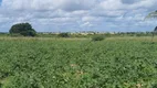 Foto 7 de Fazenda/Sítio à venda, 4500000m² em Zona Rural, Ielmo Marinho