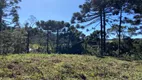 Foto 4 de Fazenda/Sítio à venda, 20000m² em Zona Rural, Urubici