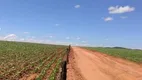 Foto 31 de Fazenda/Sítio com 3 Quartos à venda, 18600000m² em Zona Rural, Catalão