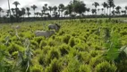 Foto 14 de Fazenda/Sítio à venda em , Penalva