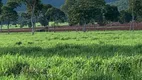 Foto 19 de Fazenda/Sítio à venda em Zona Rural, Cáceres