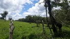 Foto 16 de Fazenda/Sítio à venda, 20000m² em Zona Rural, Caeté