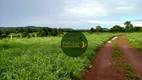 Foto 20 de Fazenda/Sítio à venda, 4065600m² em Zona Rural, Faina