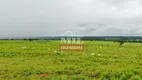 Foto 46 de Fazenda/Sítio à venda em Zona Rural, Porangatu