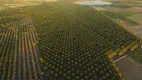 Foto 8 de Fazenda/Sítio com 5 Quartos à venda, 38000m² em Centro, Vera Cruz