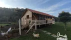 Foto 64 de Fazenda/Sítio com 7 Quartos à venda, 800m² em Borda do Campo, São José dos Pinhais