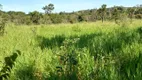 Foto 48 de Fazenda/Sítio com 4 Quartos à venda, 190000m² em Area Rural do Gama, Brasília