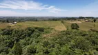 Foto 11 de Imóvel Comercial à venda, 21000m² em São Luiz do Purunã, Balsa Nova