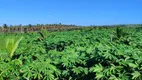 Foto 12 de Fazenda/Sítio com 2 Quartos à venda, 50m² em Zona Rural, Touros