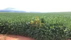 Foto 2 de Fazenda/Sítio à venda, 200m² em Zona Rural, Chapadão do Céu