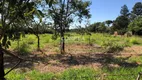 Foto 12 de Lote/Terreno à venda em Doutor Paulo Prata, Barretos