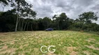 Foto 22 de Fazenda/Sítio com 2 Quartos à venda, 50000m² em Ipiabas, Barra do Piraí