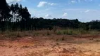 Foto 5 de Fazenda/Sítio à venda, 22500m² em Colonia Marcelino, São José dos Pinhais