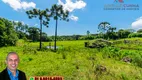 Foto 13 de Fazenda/Sítio à venda, 70000m² em Serra grande Morro Agudo, Gramado