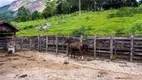 Foto 51 de Fazenda/Sítio com 5 Quartos à venda, 10500000m² em Vista Alegre, Teresópolis