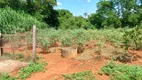 Foto 42 de Fazenda/Sítio com 3 Quartos à venda, 100000m² em Corrego Rico, Planaltina