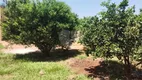 Foto 2 de Fazenda/Sítio com 2 Quartos à venda, 350m² em , Iacanga