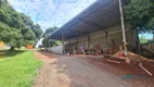 Foto 2 de Galpão/Depósito/Armazém para alugar, 1000m² em Gleba Lindóia, Londrina