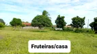 Foto 7 de Fazenda/Sítio com 3 Quartos à venda, 12000m² em Centro, Lagoa de Pedras