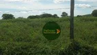 Foto 6 de Fazenda/Sítio à venda, 8615200m² em Zona Rural, Santa Fé de Goiás