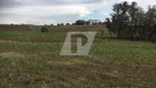 Foto 4 de Lote/Terreno à venda, 90000m² em Residencial Paineiras, Piracicaba