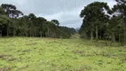 Foto 2 de Lote/Terreno à venda, 350000m² em Zona Rural, Urubici