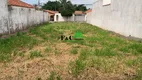 Foto 5 de Lote/Terreno à venda, 270m² em Vila Paulista, Limeira