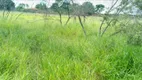 Foto 3 de Fazenda/Sítio com 4 Quartos à venda, 20000m² em Area Rural de Ceilandia, Brasília