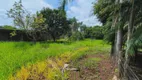 Foto 46 de Fazenda/Sítio com 3 Quartos para alugar, 6000m² em Area Rural de Uberlandia, Uberlândia