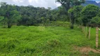 Foto 21 de Fazenda/Sítio com 3 Quartos à venda, 150m² em Vila Nova, Joinville
