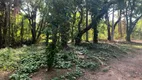 Foto 8 de Lote/Terreno à venda, 13098m² em PAIOL VELHO, Vinhedo