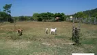 Foto 5 de Fazenda/Sítio com 3 Quartos à venda, 160m² em Centro, Maricá