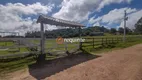 Foto 33 de Fazenda/Sítio com 3 Quartos à venda, 300000000m² em Cascata, Pelotas