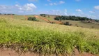 Foto 8 de Fazenda/Sítio com 1 Quarto à venda, 1000m² em Centro, Pinhalzinho